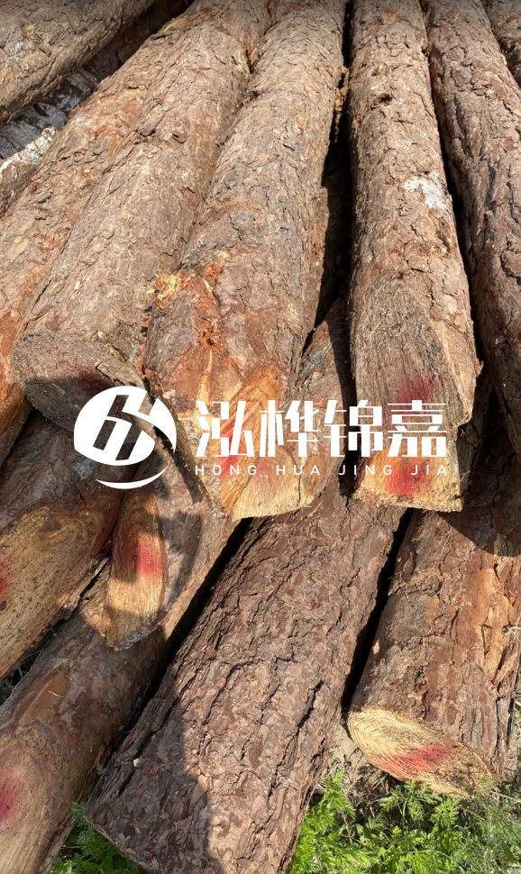 <strong>松木樁和杉木樁的用途區(qū)別？哪個(gè)更適合打樁用？</strong>
