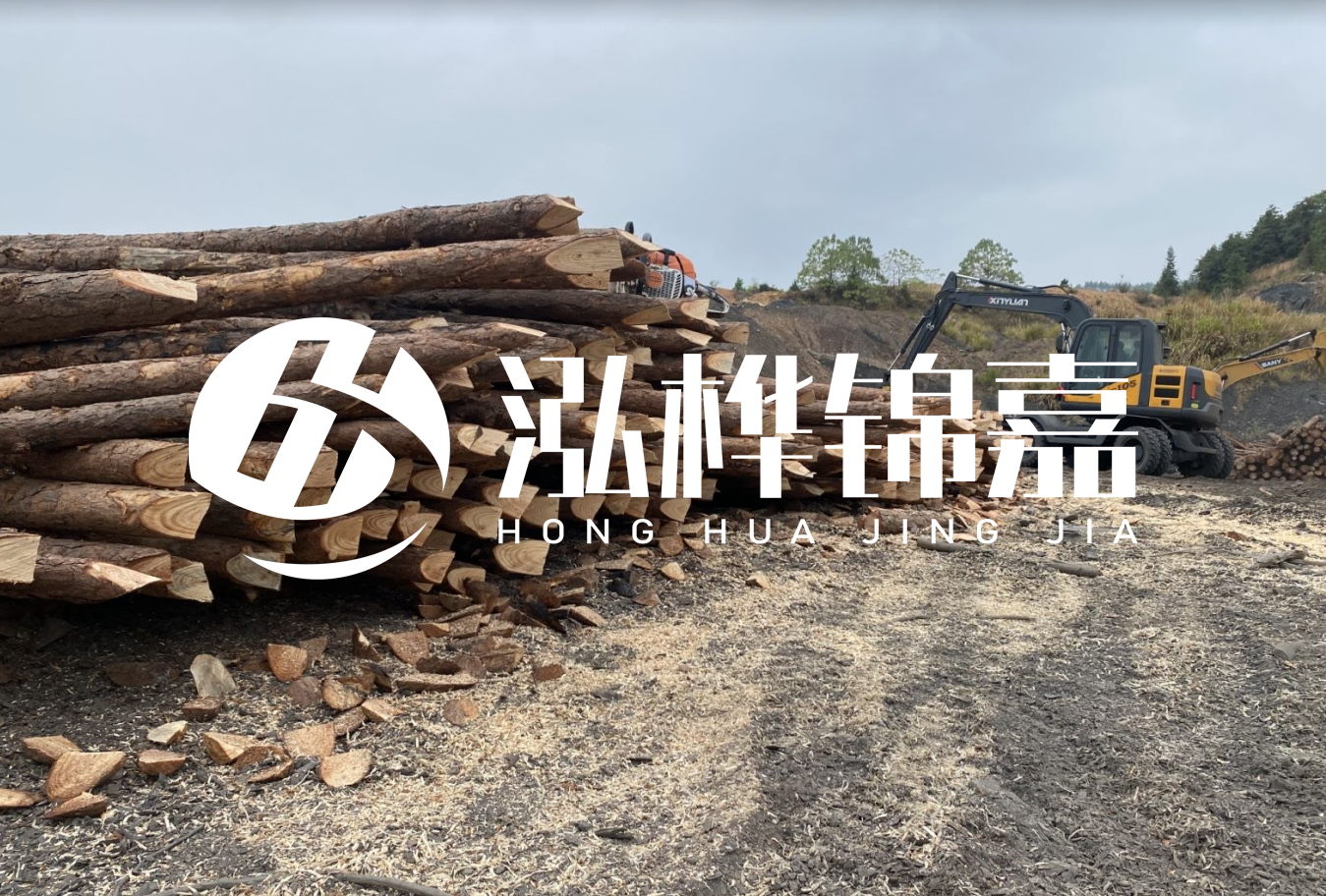 松木樁尾徑是什么意思？