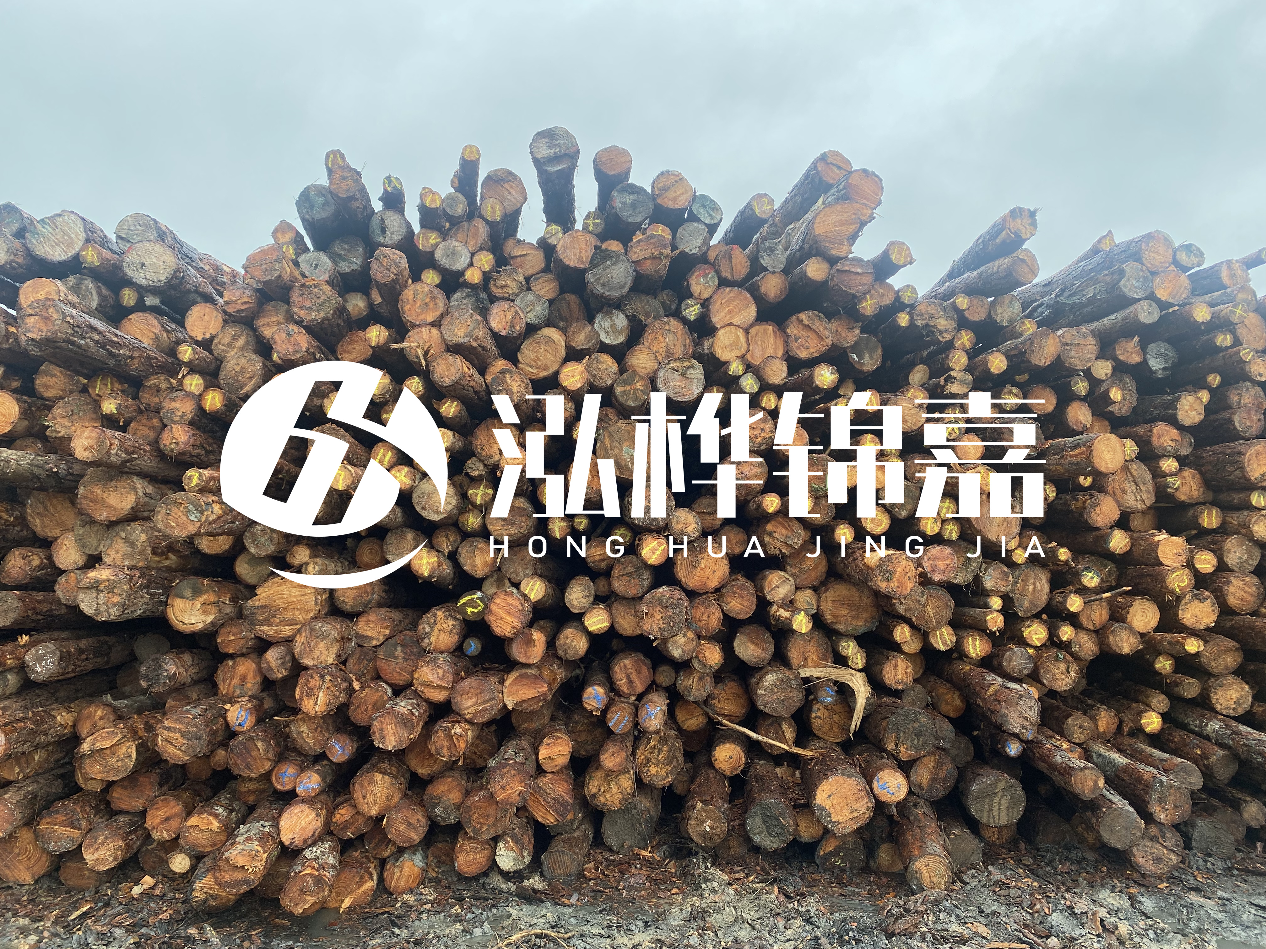 松木樁的直徑一般取多少？