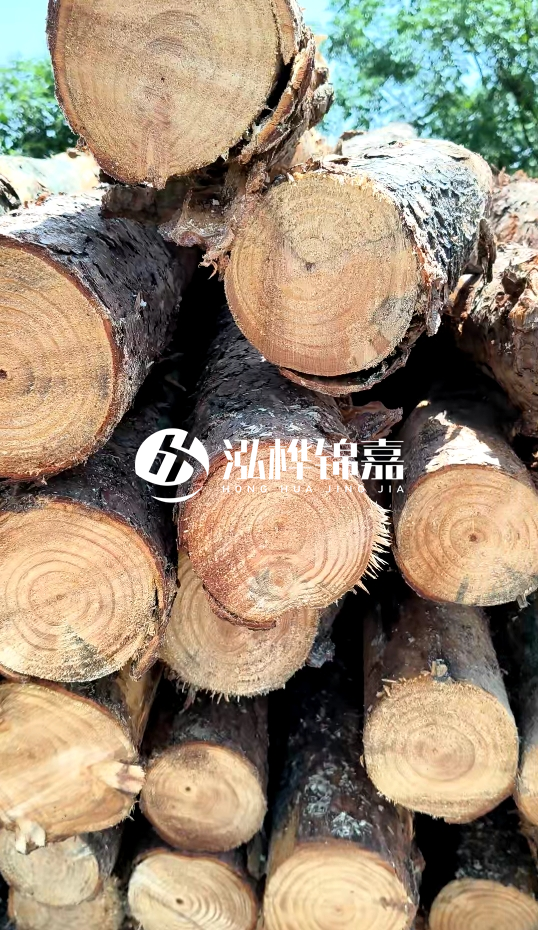 周口挖機(jī)打木樁專業(yè)施工-杉木樁施工打樁怎么打？