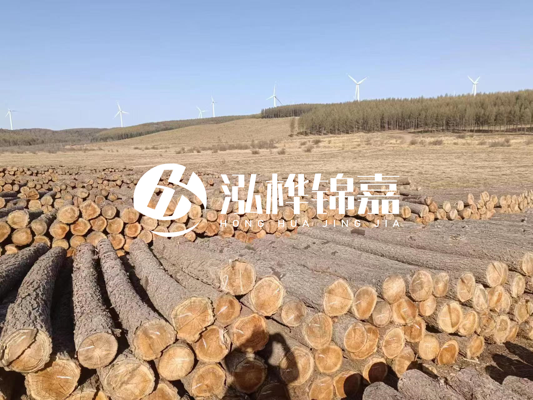 咸寧松木樁源頭廠家-哪里能買到質(zhì)量好的松木樁打樁木？