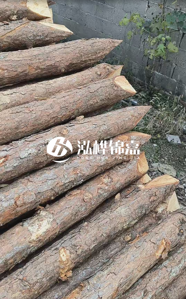 松木樁哪里能大量供應(yīng)？4米20公分松木樁價格是多少？