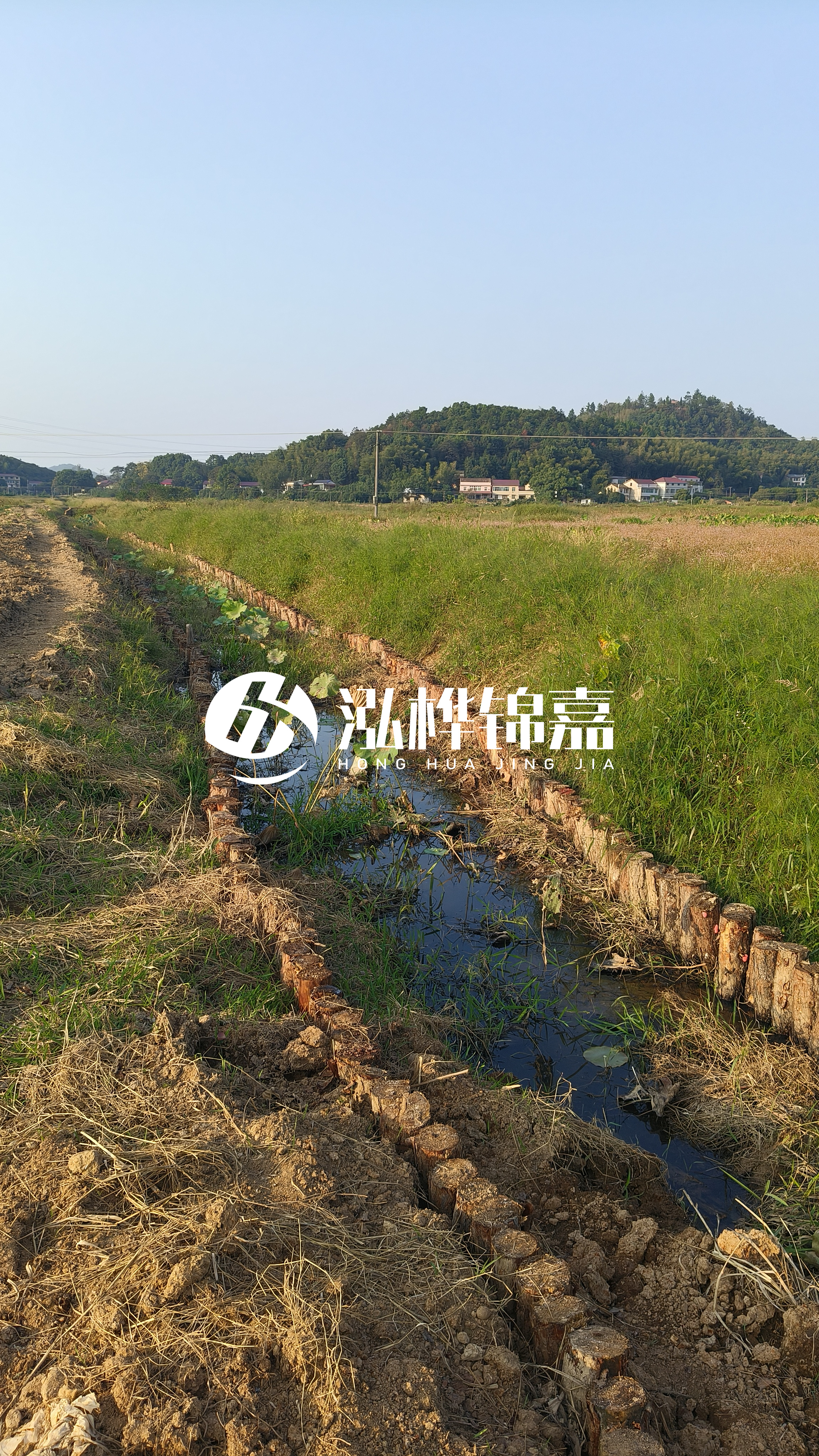 河道護(hù)坡打木樁的目的全解析：你知道幾個(gè)？