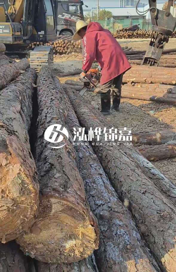 長(zhǎng)沙打樁木批發(fā)廠家在哪里？聯(lián)系方式是什么？