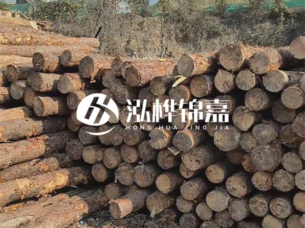 落葉松木材的主要產(chǎn)地在哪里？為什么比其他松木更耐腐蝕？