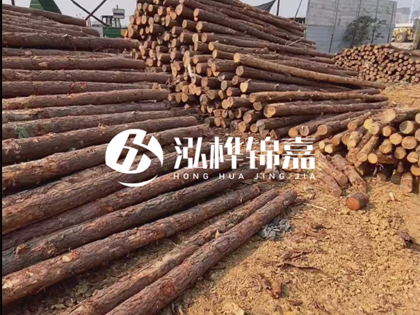 河道木樁施工遇到淤泥怎么辦？打多深才能防沖刷？