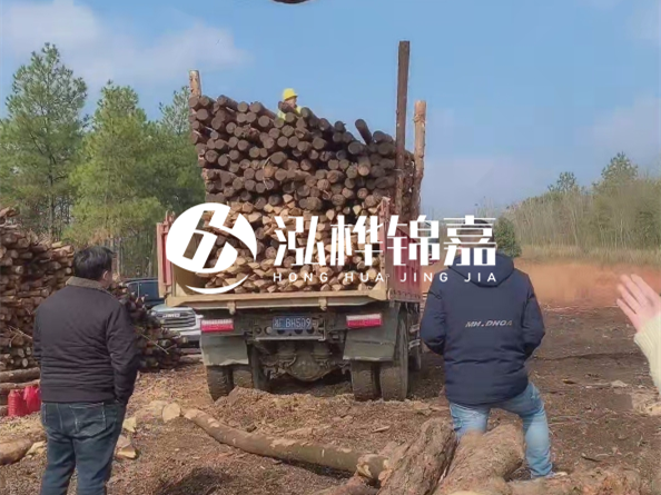 防腐木樁價格比普通木樁貴多少？防腐木樁有哪些處理方式？