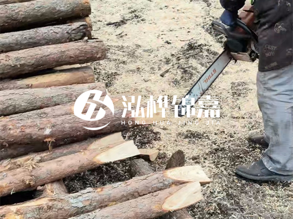 杉木樁批發(fā)廠家哪家好？產(chǎn)地直供渠道推薦！