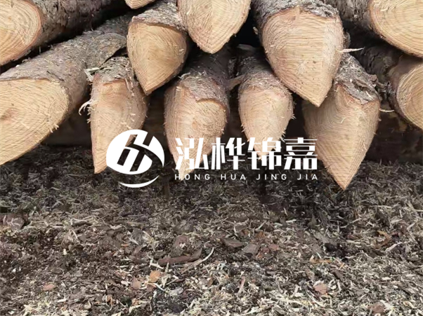 打樁木樁與鋼樁相比有哪些優(yōu)缺點？如何進行后期維護？