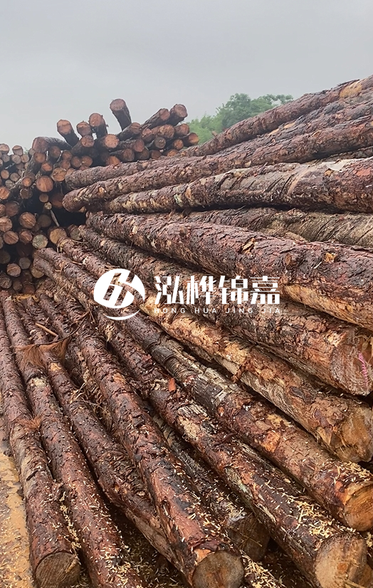 購買松木樁注意事項(xiàng)有哪些-不同直徑松木樁區(qū)別有哪些？