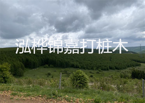松木樁能重復(fù)施工么？