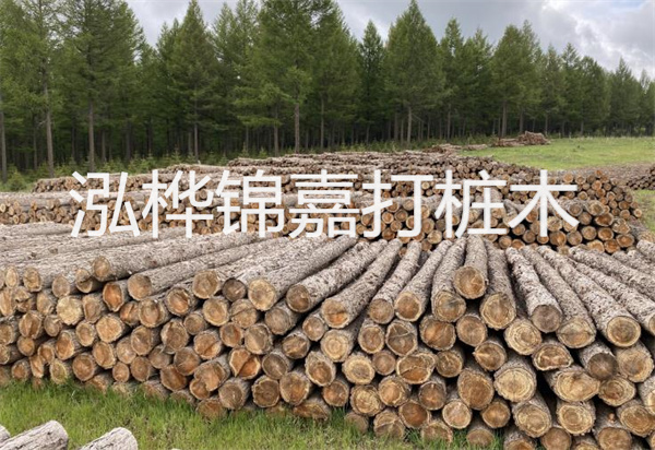 松木樁能施工嗎？探究視頻揭秘真相！