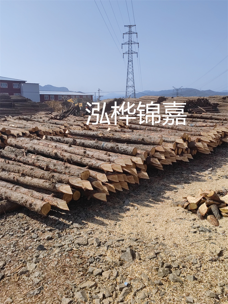 深入了解松木樁基礎(chǔ)施工單價(jià)，助力工程建設(shè)順利進(jìn)行！