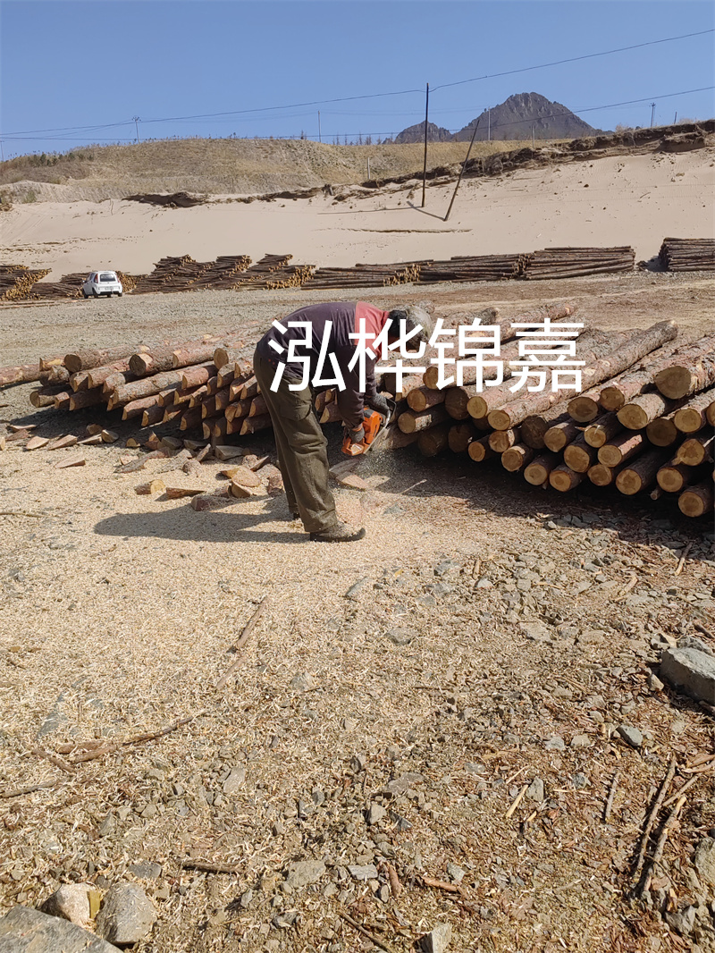 松木樁駁岸施工，打造水上風(fēng)景線