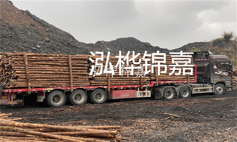 大理松木樁哪里賣？選擇合適的松木樁來保護(hù)你的建筑