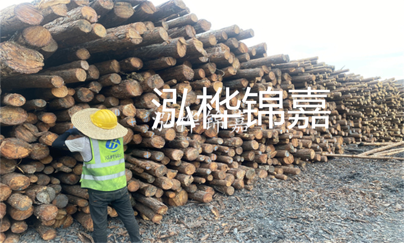 當建筑需要強大支撐，鄭州這里有松木樁！