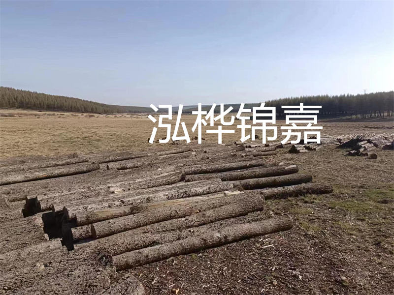 鄂州松木樁哪里好？推薦泓樺錦嘉松木樁業(yè)！